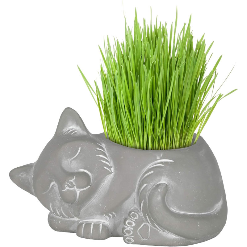 Boathaven Statue Planter, Gray, 4.5" H x 6" W x 8.5" D
