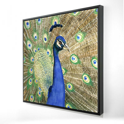" Peacock "