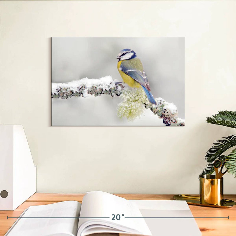Oiseau chanteur Crowle, H 8 po x l 12 po