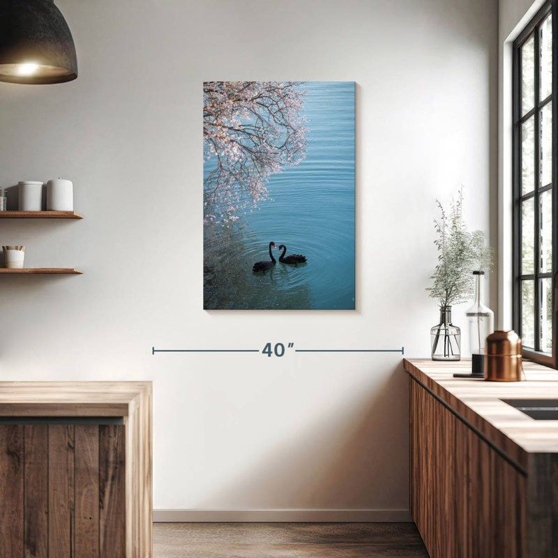 Brampt Black Swans Sakura, 36" H x 24" W