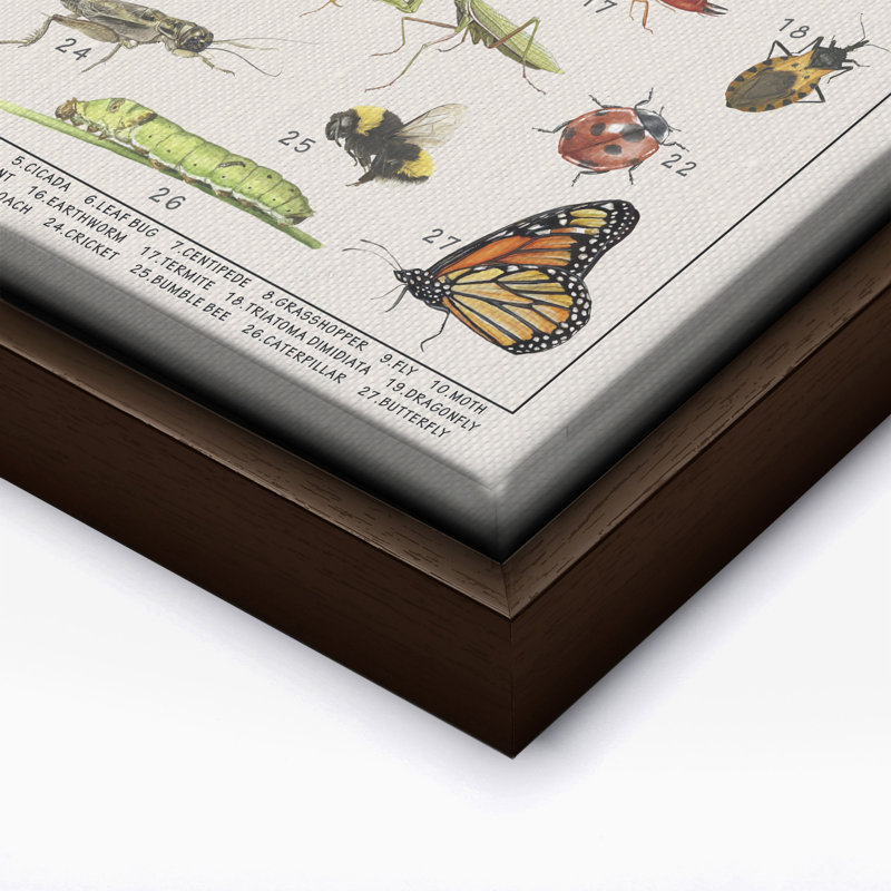 Insectes, Canvas, 11"H x 14"W, Brown Framed