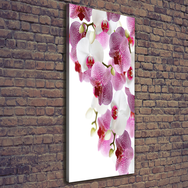 Orchid - Wrapped Canvas Print