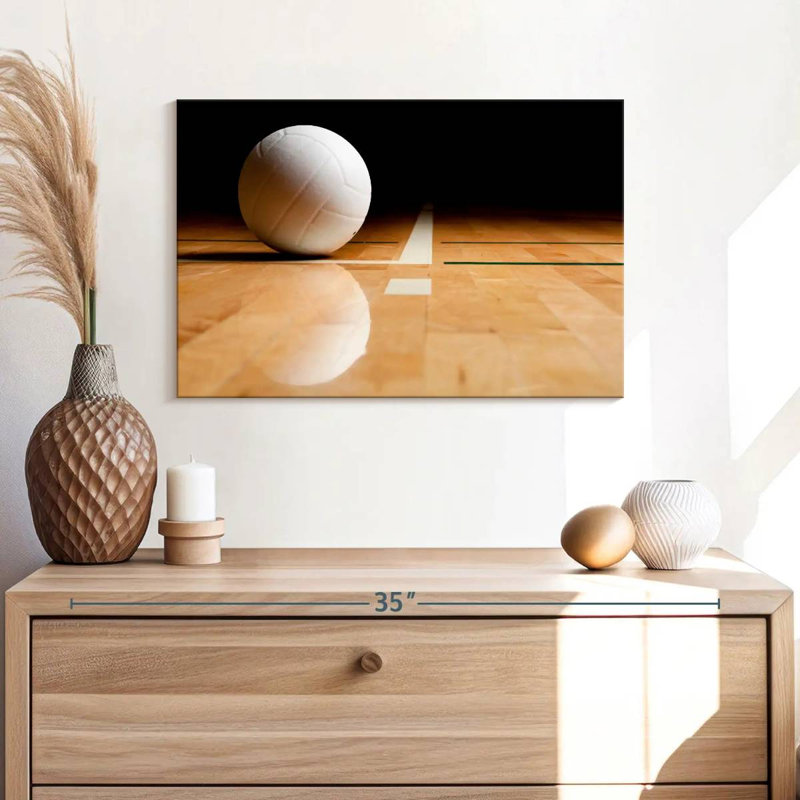 Sireci White Volleyball Reflection, 16" H x 24" W
