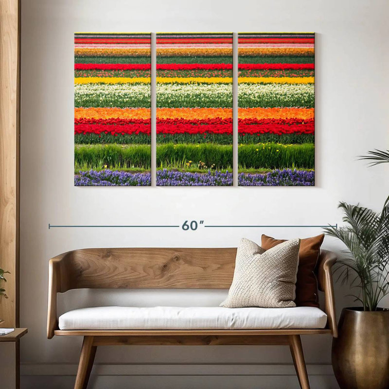 Rorry Bollenstreek Tulips, 32" H x 50" W