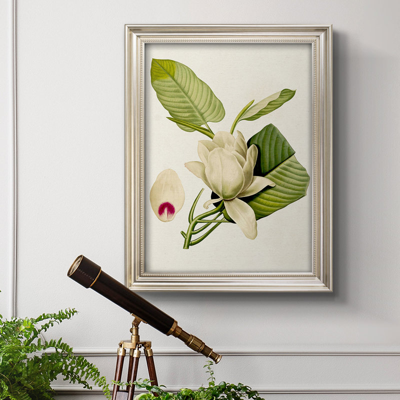 Fleurs de magnolia - Reproduction de photo sur toile, L 21 po x H 25 po