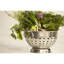 Kitchen Accessories 5 Qt. Colander