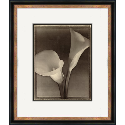 Sepia Flowers 12 Giclee Print