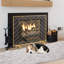1 Panel Iron Fireplace Screen