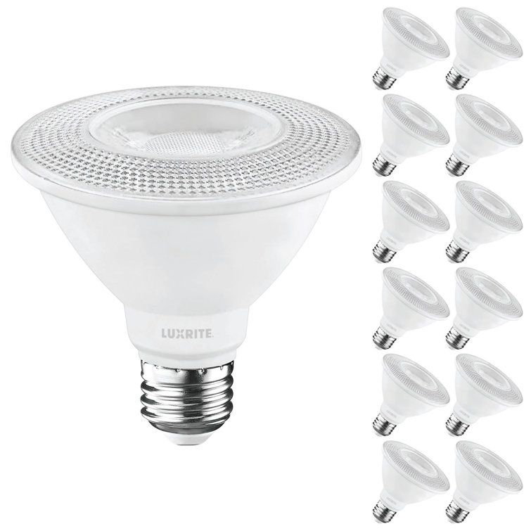 75 Watt Equivalent PAR30 E26/Medium (Standard) Dimmable LED Bulb