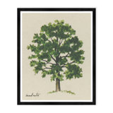 Meadow Tree Iv Print