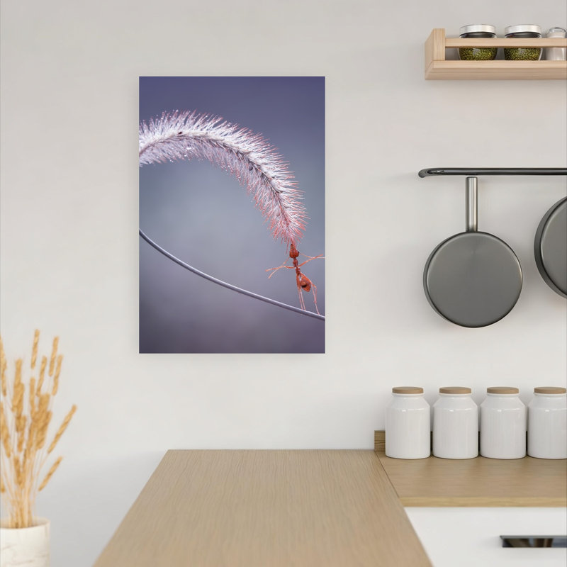 Red Ant'S Delicate Balance Delicate Tranquil Contemporary Ant Nature Plant Wall Art Print by Fauzan Maududdin - Print