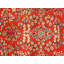 Sarouk Wool Oriental Area Rug in Rust