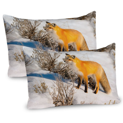 Ambesonne Fox Pillow Sham 2 Pack Red Fox in Snowy Nature Marigold Brown White -  pil-2_39196_30x20