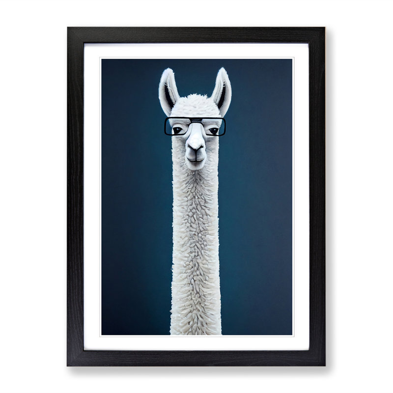 Llama In Glasses - Single Picture Frame Print, Black, 46cm H x 34cm W x 2cm D