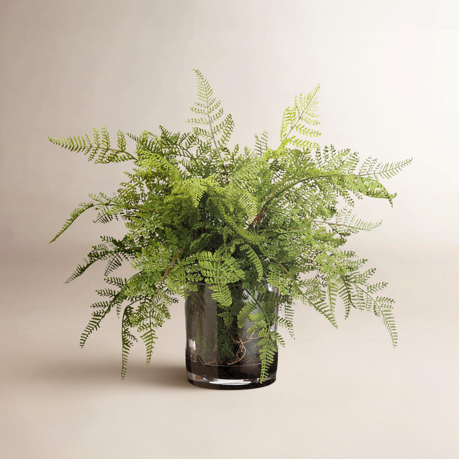 17'' Faux Fern Plant in Glass Vase