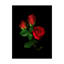 «Red Roses» par Dosta, impression sur toile tendue-29226618