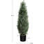 Plant-1884781817-1884781815