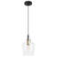 1 - Light Novelty Pendant