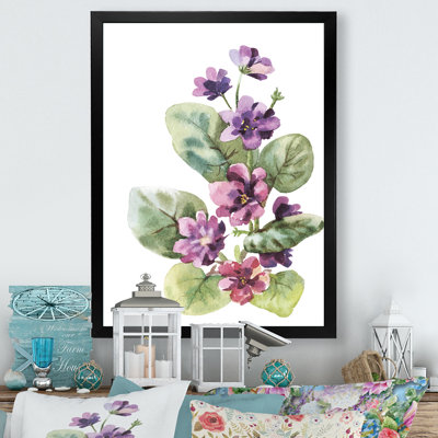 Viola sauvage - fleurs mauves