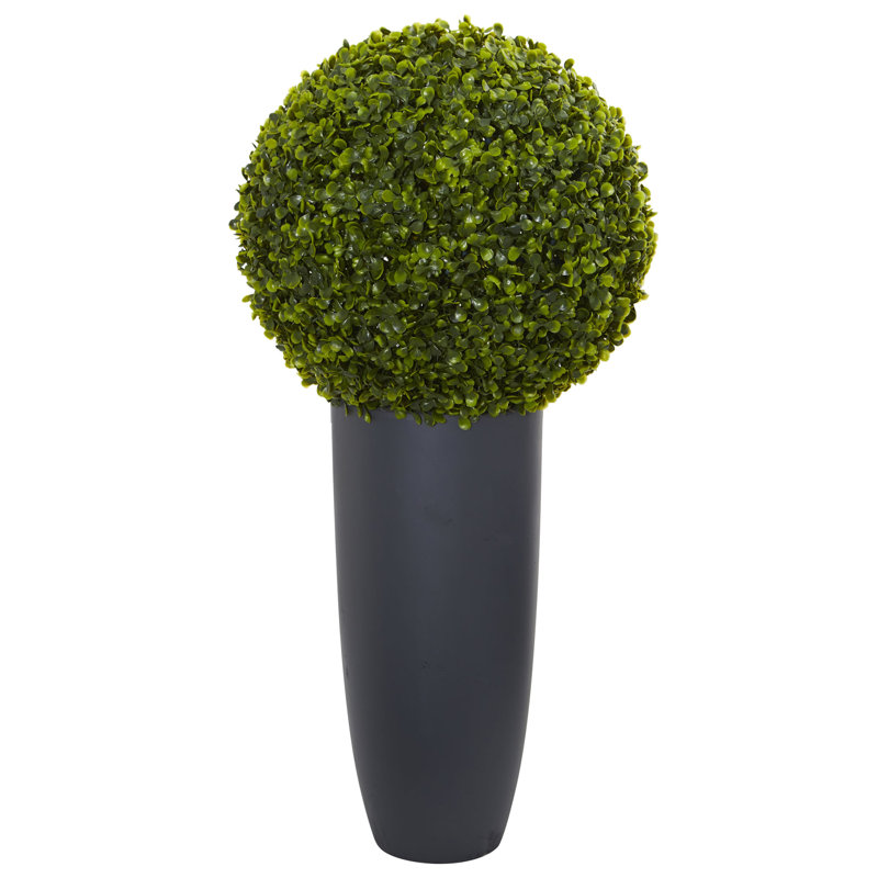 30'' Faux Boxwood Topiary in Ceramic Planter