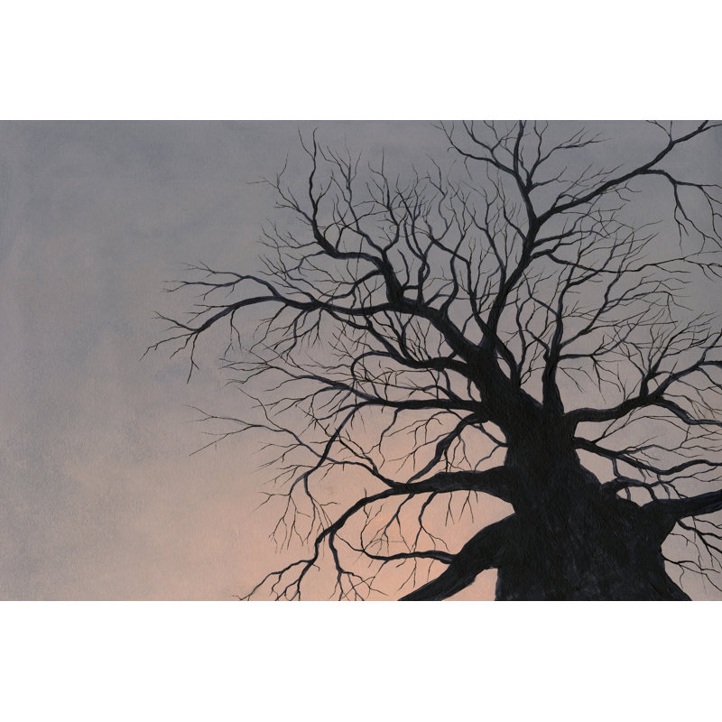 Gnarled Tree I by Michael Willett - Wrapped Canvas Print, 61 cm H x 91 cm W