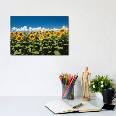 Field of Sunflowers 1 Piece Wrapped Canvas Wall Art