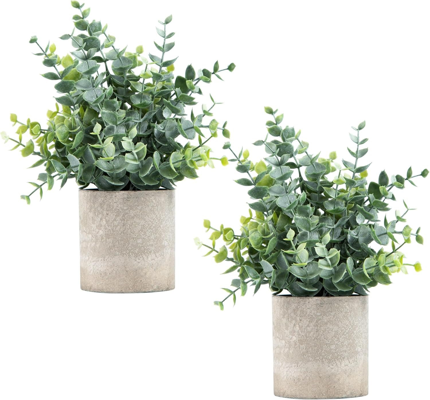 Stock Preferred 2 Pack Small Potted Fake Eucalyptus Plants | Wayfair