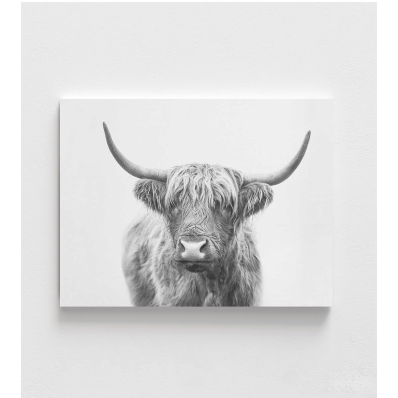 Art mural Highland Cow, H 12 po x l 16 po, Ne s’applique pas, Impression sans cadre