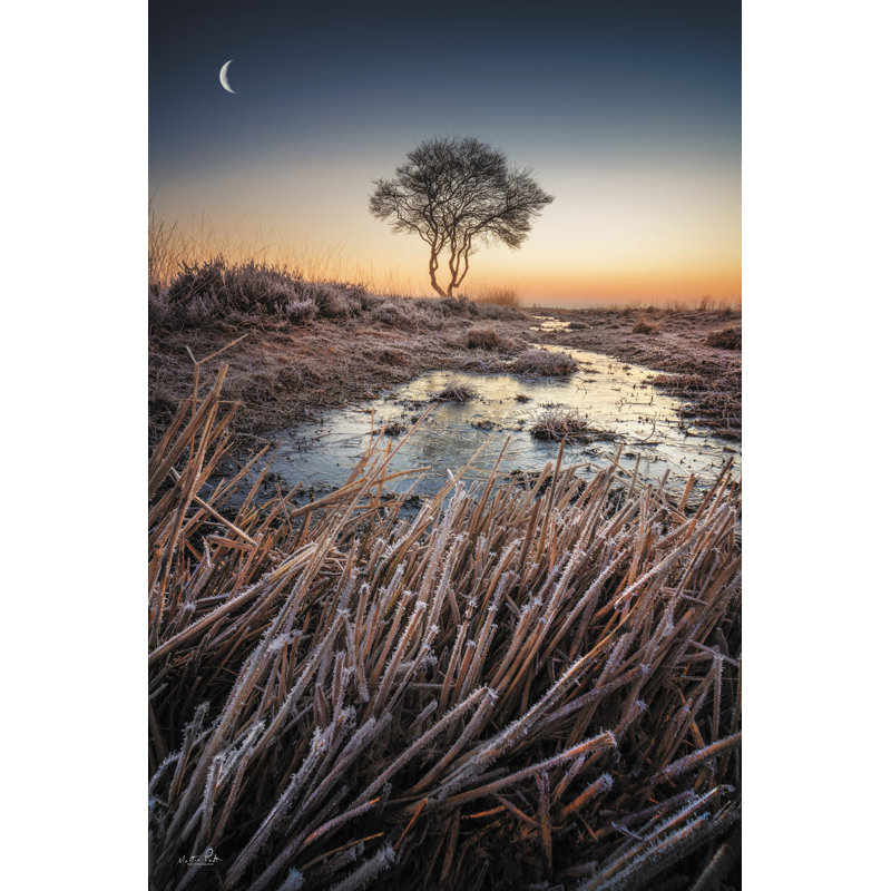 Barrus The Frost par Martin Podt, H 18 po x l 12 po