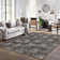 Modern Abstract Area Rugs for Living Room, Anti-Slip Carpet for Living Room, Bedroom