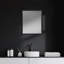 Miroir de salle de bain Aariah-847674773-847674774