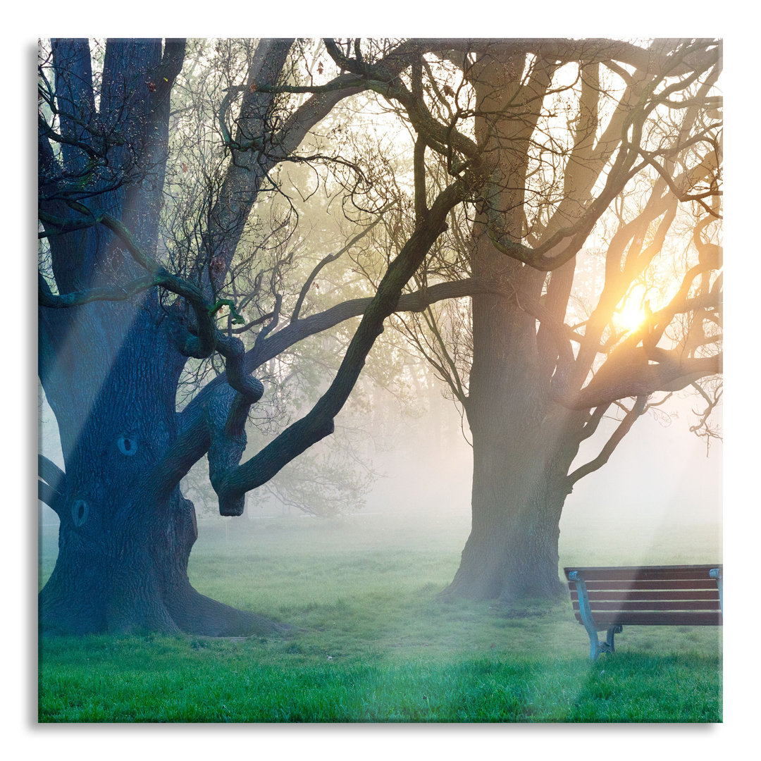 Ungerahmtes Foto auf Glas "Tree and Bench in Fog"