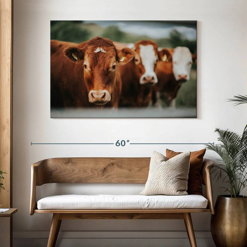 Brampt Brown Cattle