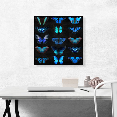 " Navy Baby Blue Butterfly Wings Insect Black "