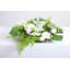 Arrangement floral carré, orchidée blanche, feuille de Monstera, fougère mixte flottant illusion d'eau de jardin