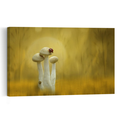 Ladybug On Golden Mushrooms Delicate Organic Peaceful Ladybug Forest Nature Wall Art Print 1 Piece Wrapped Canvas Wall Art