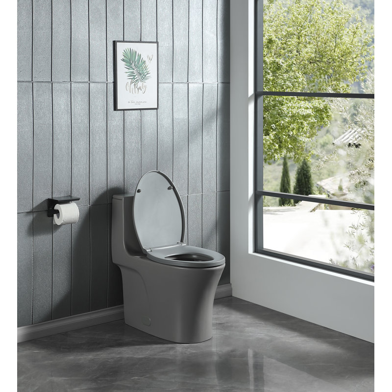 Giancarlo Dual-Flush One-Piece Elongated Toilet, Grey