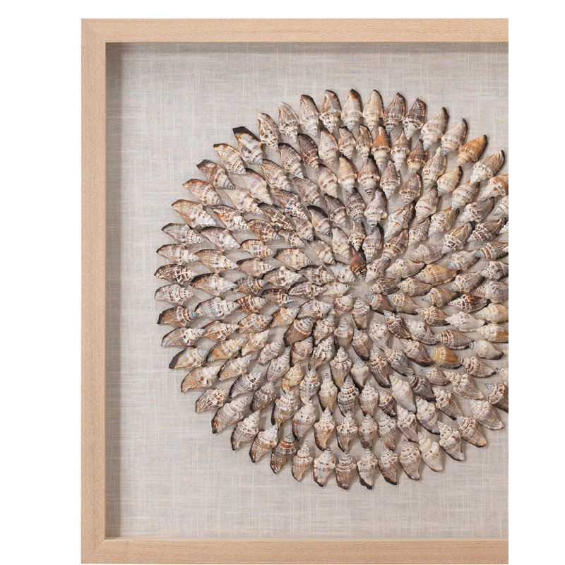 Beige Simnia Shell Framed Wall Art