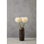 Fiori Allium Arrangement