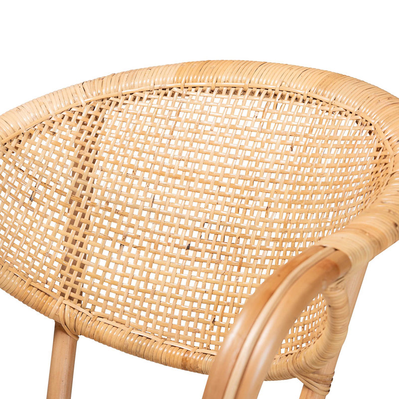 Dining Chair(Only Dining Chairs)