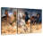 Brampt Sprinting Arab Horses-106428294