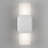 Modern Outdoor Wall Light, Silver