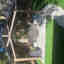 Photos des clients 1 de 1
