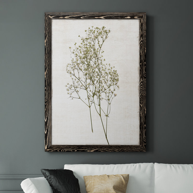 «Farmhouse Pressed Flower I», peinture sur toile encadrée, H 44 po x l 31 po x P 1 po, Cadre noir