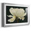 Aglow, impression sur papier encadrée-248011177-248011220