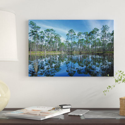 " Pine Forest Mirrored In Reflection Pond, Ochlocknee River State Park, Florida " by Tim Fitzharris