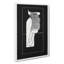 Crested Cockatoo by Samuel De Mesquita - Wrapped Canvas-61849090