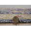 Laurel Marmara Machine Woven Polyester No Pattern Area Rug in Navy-828426638