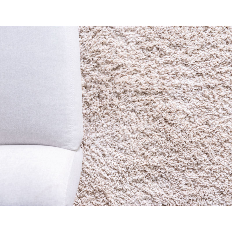 Carlosadrian Oriental Indoor Rug, Round 6'