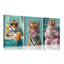 3 Piece Wrapped Canvas Set